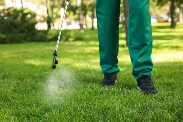 Best Affordable Pest Control Services  in Todd Creek, CO