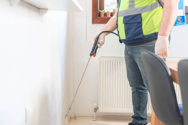 Best Pest Control for Homes  in Todd Creek, CO