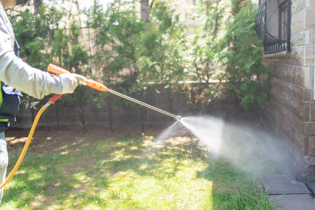 Best Bed Bug Extermination  in Todd Creek, CO