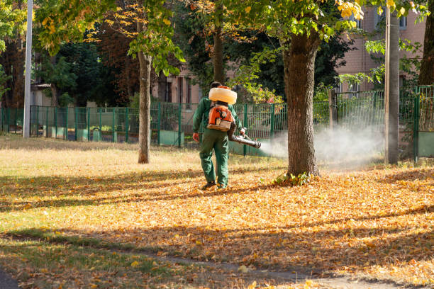 Best Wasp Removal Services  in Todd Creek, CO