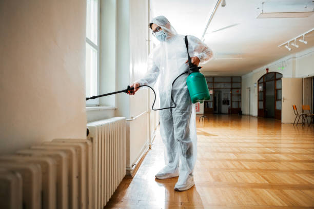 Best Pest Control Treatment  in Todd Creek, CO